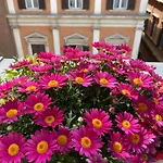 Terrazza Marco Antonio Luxury Suite