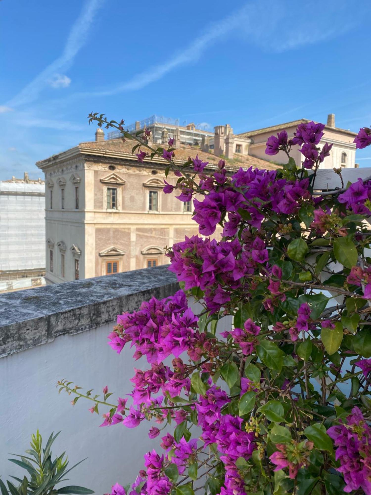 Terrazza Marco Antonio Luxury Affittacamere Roma