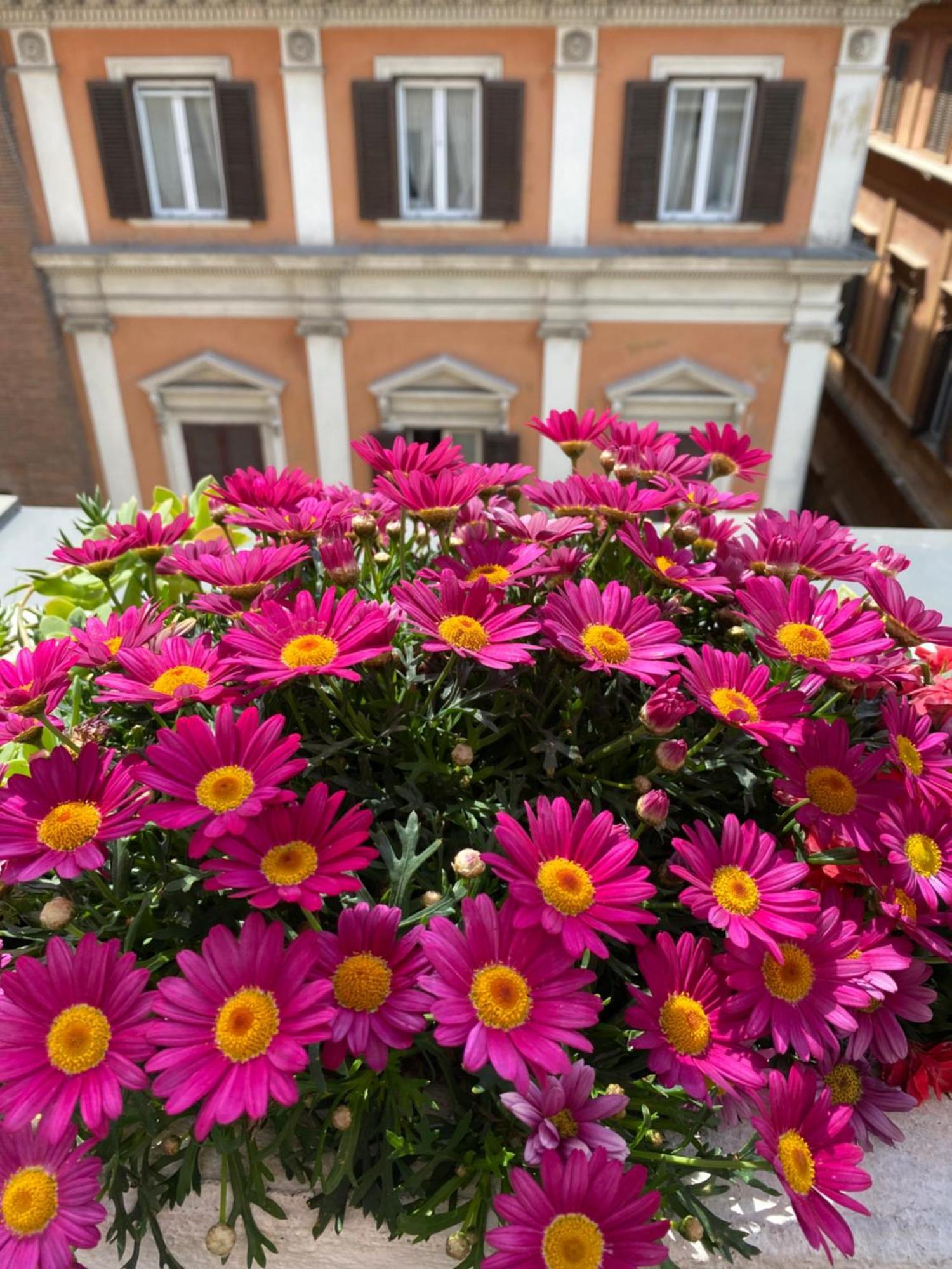 Terrazza Marco Antonio Luxury Affittacamere Roma